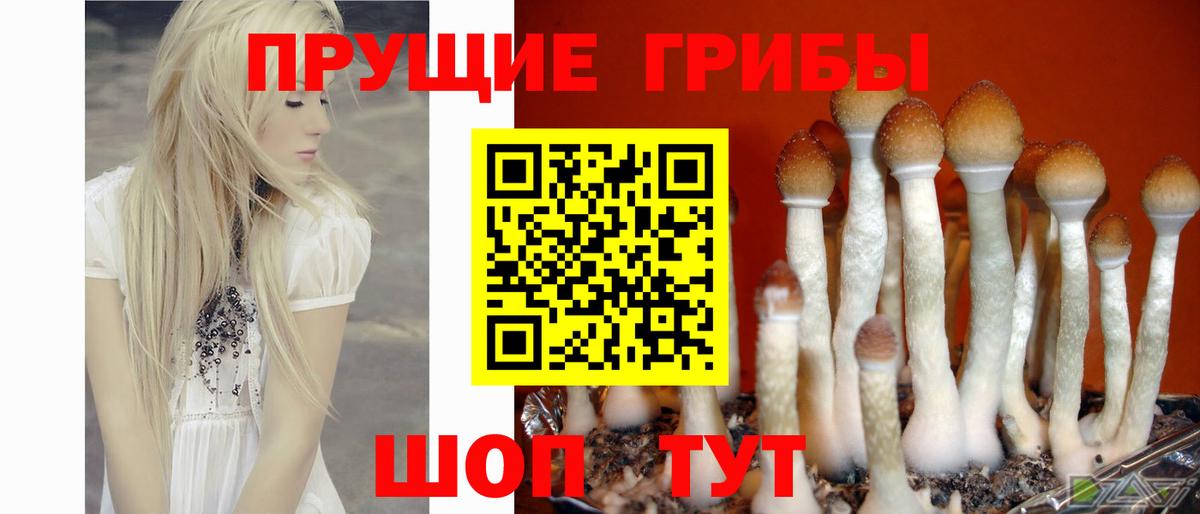 купить наркотики цена  Галлюциногенные грибы MAGIC MUSHROOMS  Вход с VPN  Грязи 